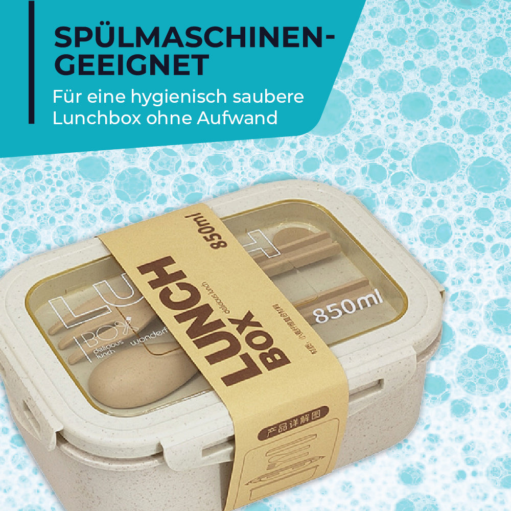 Lunchbox -  perfekt für unterwegs