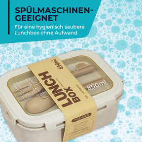 Lunchbox -  perfekt für unterwegs