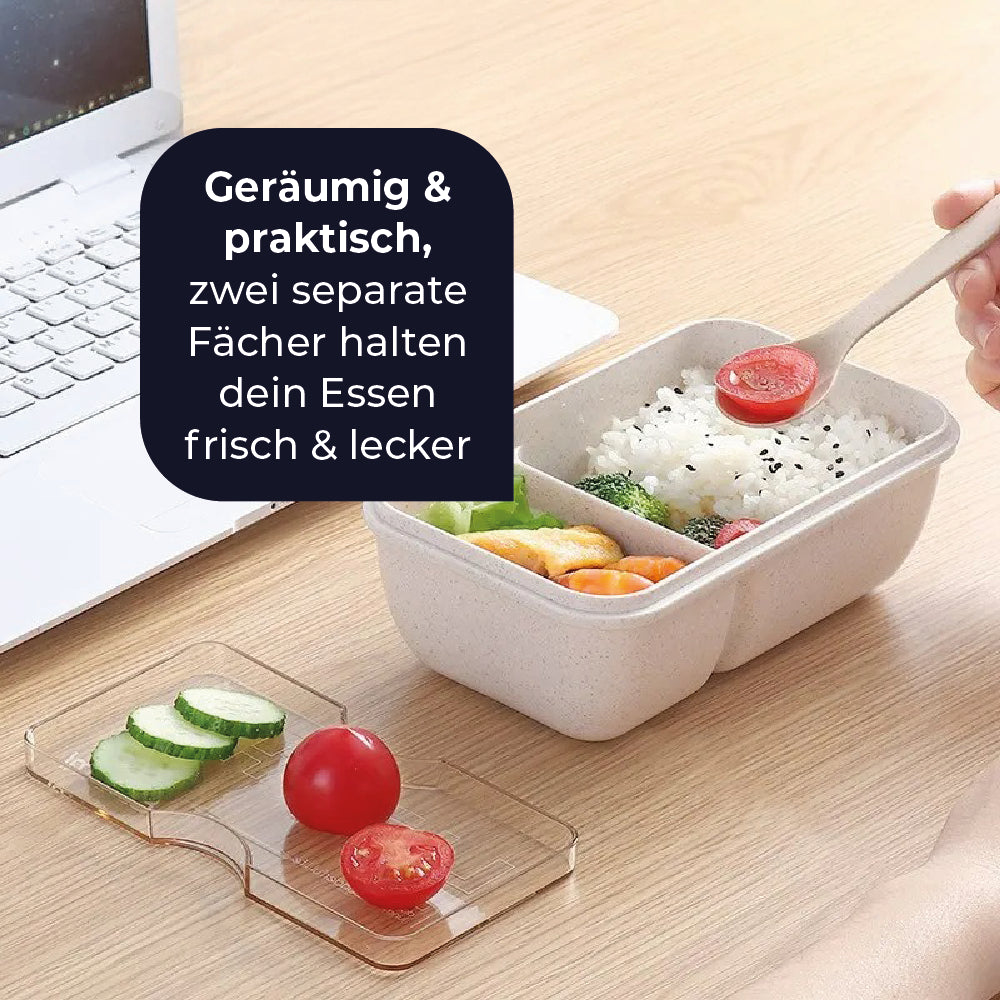Lunchbox -  perfekt für unterwegs