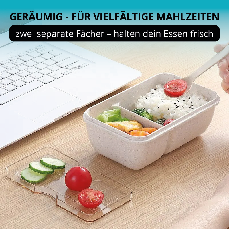 Lunchbox -  perfekt für unterwegs