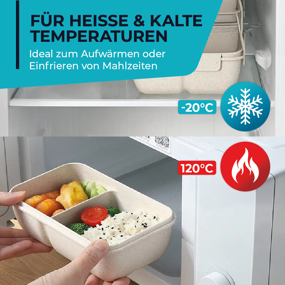 Lunchbox -  perfekt für unterwegs