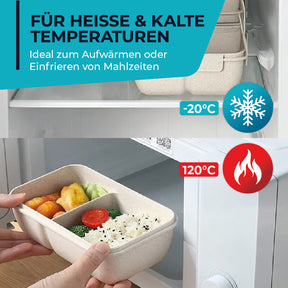 Lunchbox -  perfekt für unterwegs