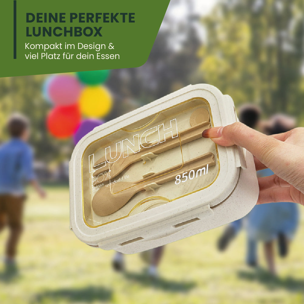 Lunchbox -  perfekt für unterwegs