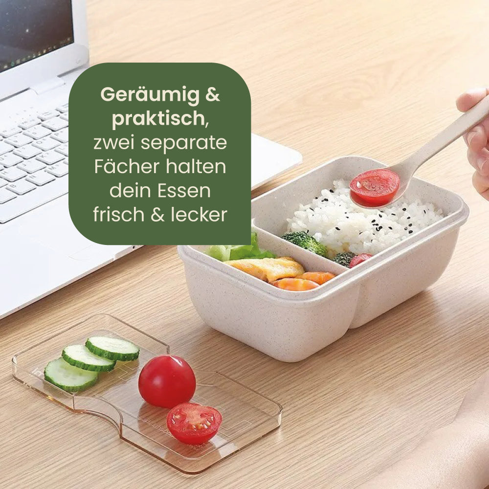 Lunchbox -  perfekt für unterwegs
