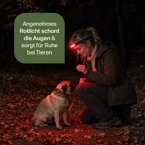 Adventure Light 2.0 - das Original