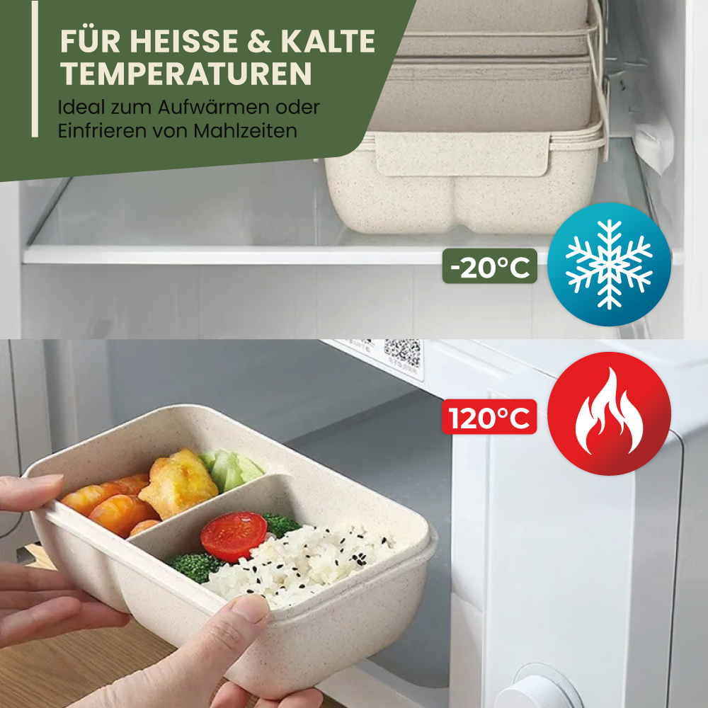Lunchbox -  perfekt für unterwegs