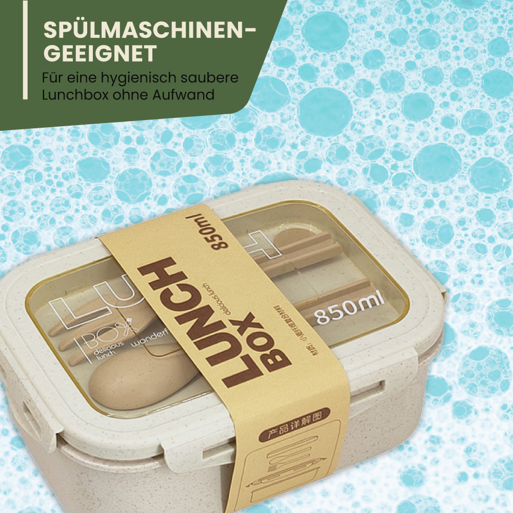 Lunchbox -  perfekt für unterwegs